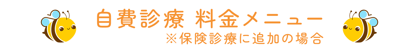自費診療料金メニュー。
保険診療に追加の場合。